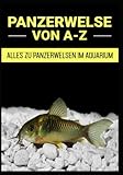 Panzerwelse (Corydoras) von A - Z: Alles zu Panzerwelsen im Aquarium von A wie Arten bis Z wie Zucht