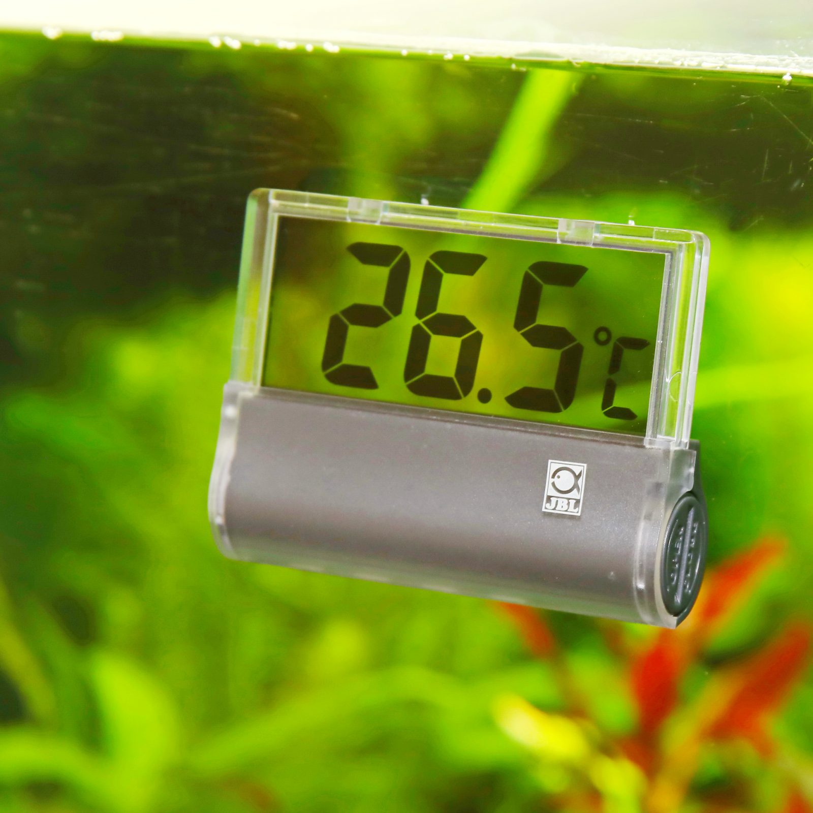 Neuheiten bei JBL: Aquarium Thermometer DigiScan & DigiScan Alarm